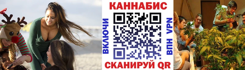 Каннабис SATIVA & INDICA  Лагань 